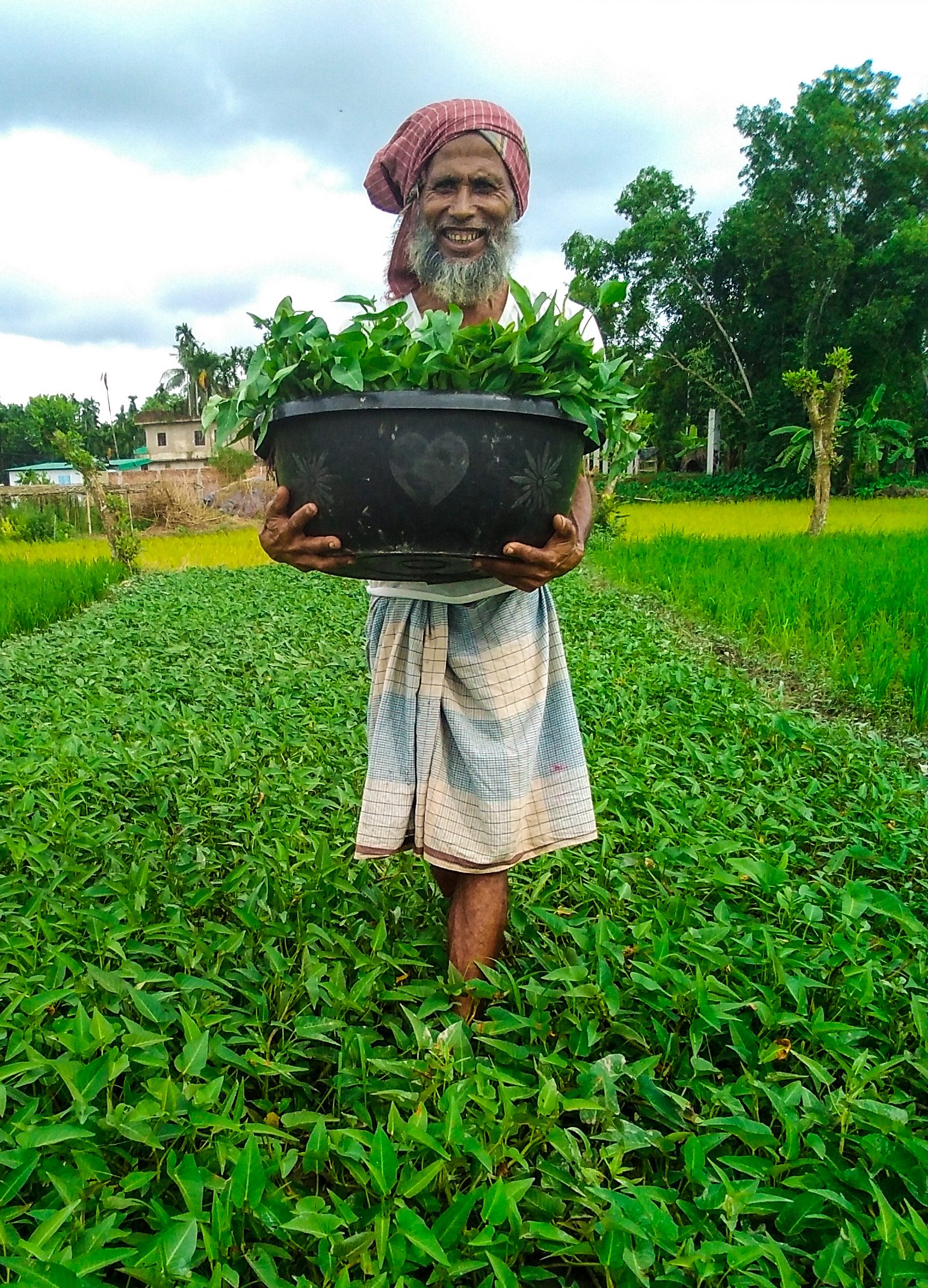 Amanul standing in his crops holding a basket of vegetables