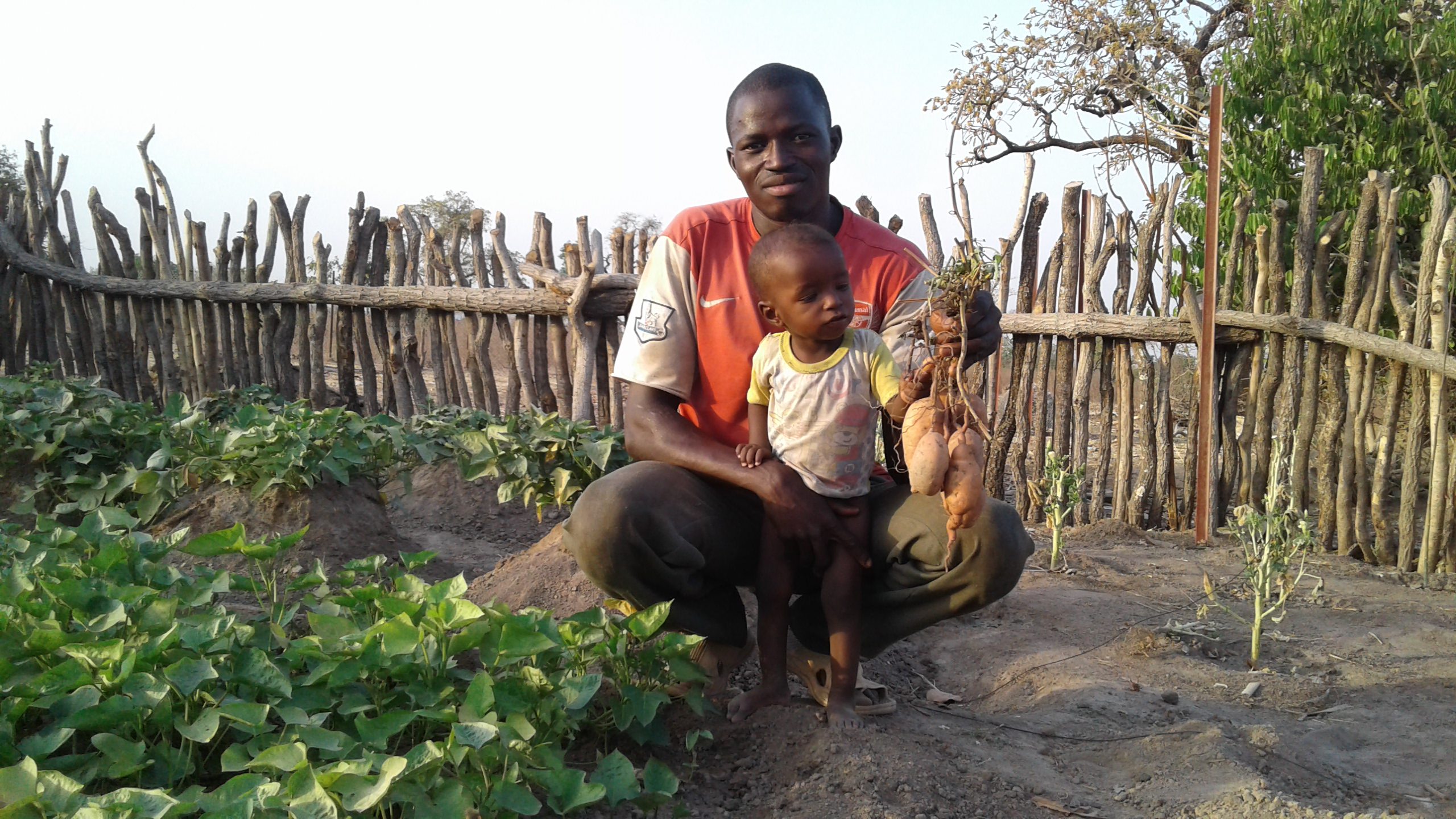 Barnebas and his father in their OFSP garden harvested for a special meal for Barnebas, april 21