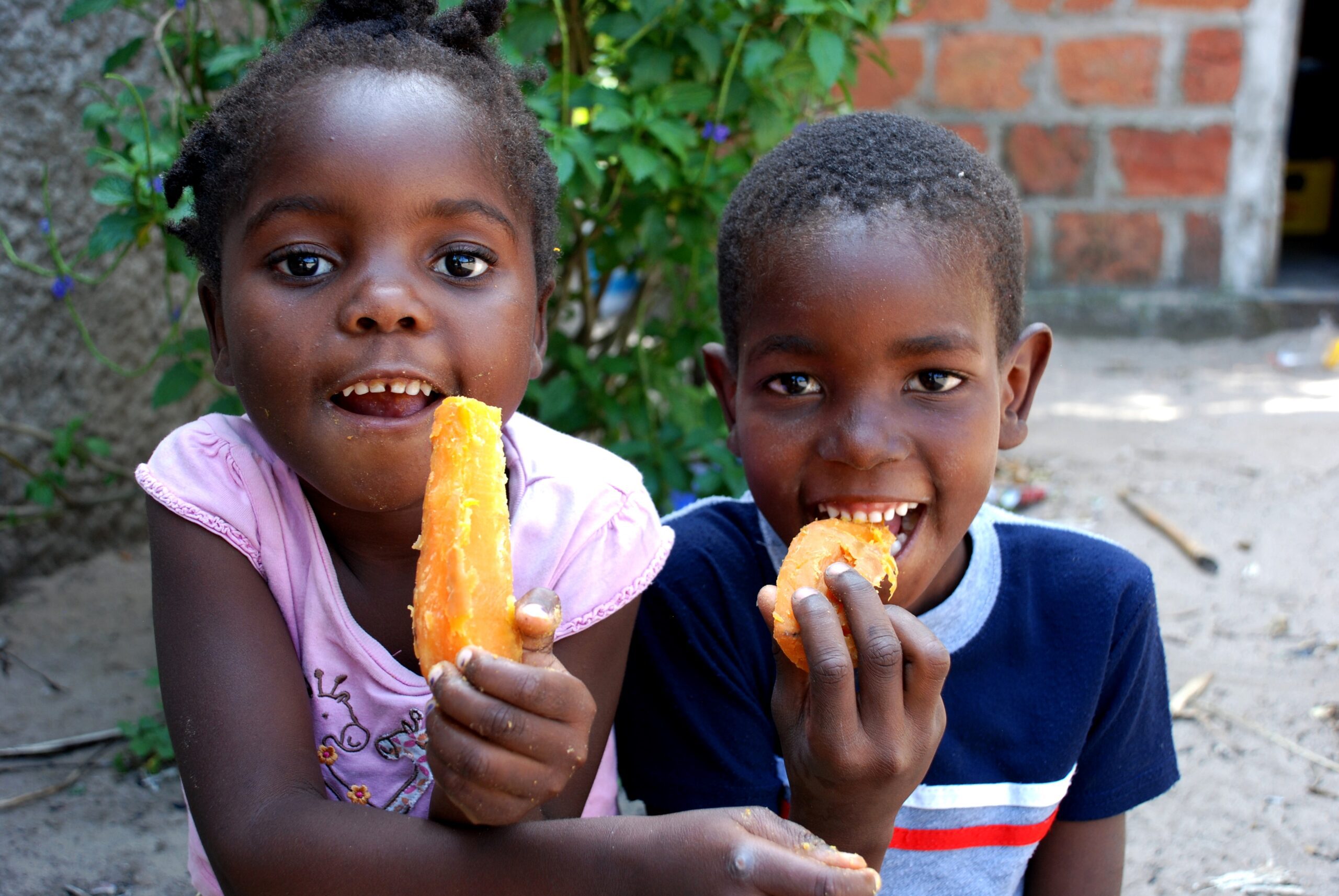 Two young children eating sweet potatoes.