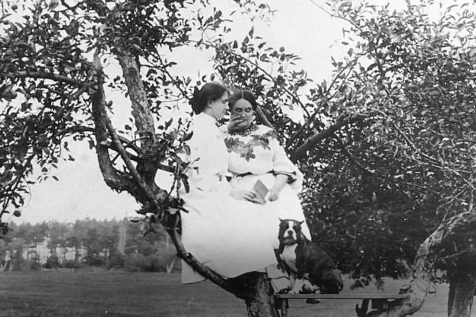 A black and white photo of Helen Keller and her teacher, Anne Sullivan in a tree. They are both reading while wearing white dresses.