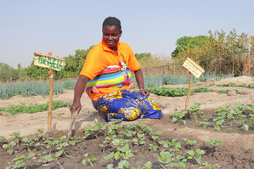 A woman with dark skin kneels on the ground behind rows of small plants. She is wearing a bright orange shirt and a floral print skirt, with a baby on her back in a striped wrap.