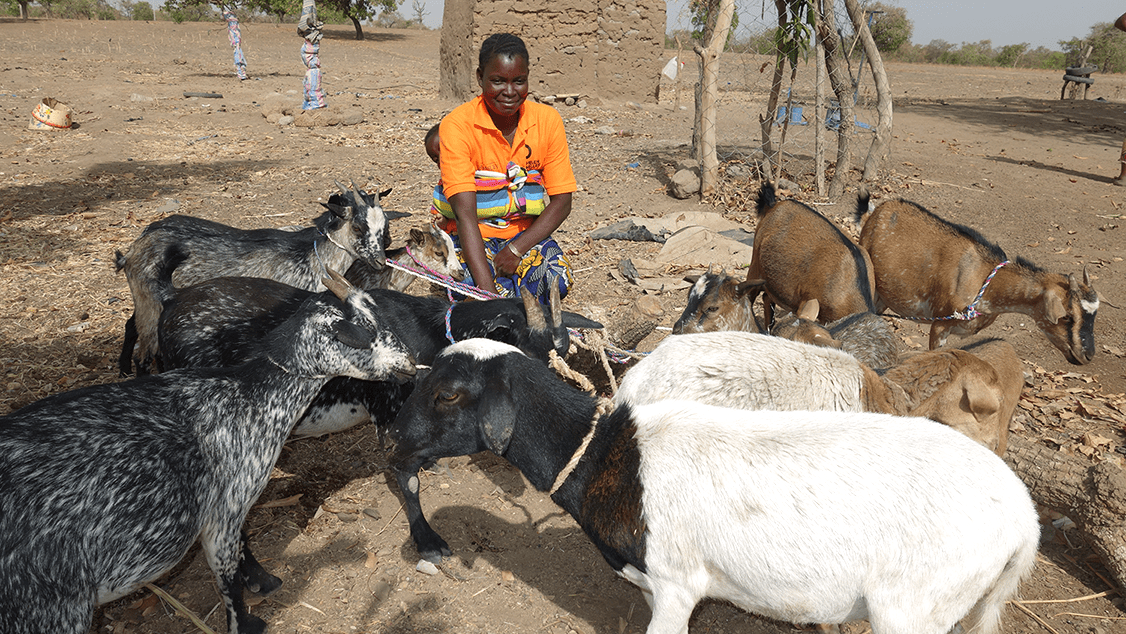 A woman with dark skin kneels in a field behind a group of eight goats. The woman is wearing a bright orange shirt and floral print skirt. She has a baby on her back in a striped wrap.