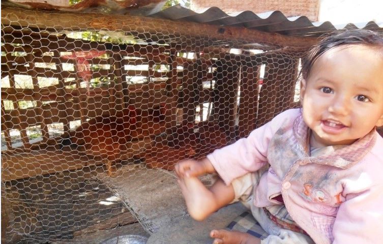 Happy toddler in pink shirt sitting next to a wooden chicken coop with wire mesh.