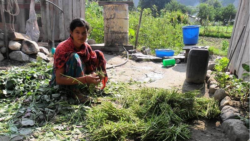 Woman in traditional clothing sorting and cleaning fresh green herbs outdoors near stone wall and containers.