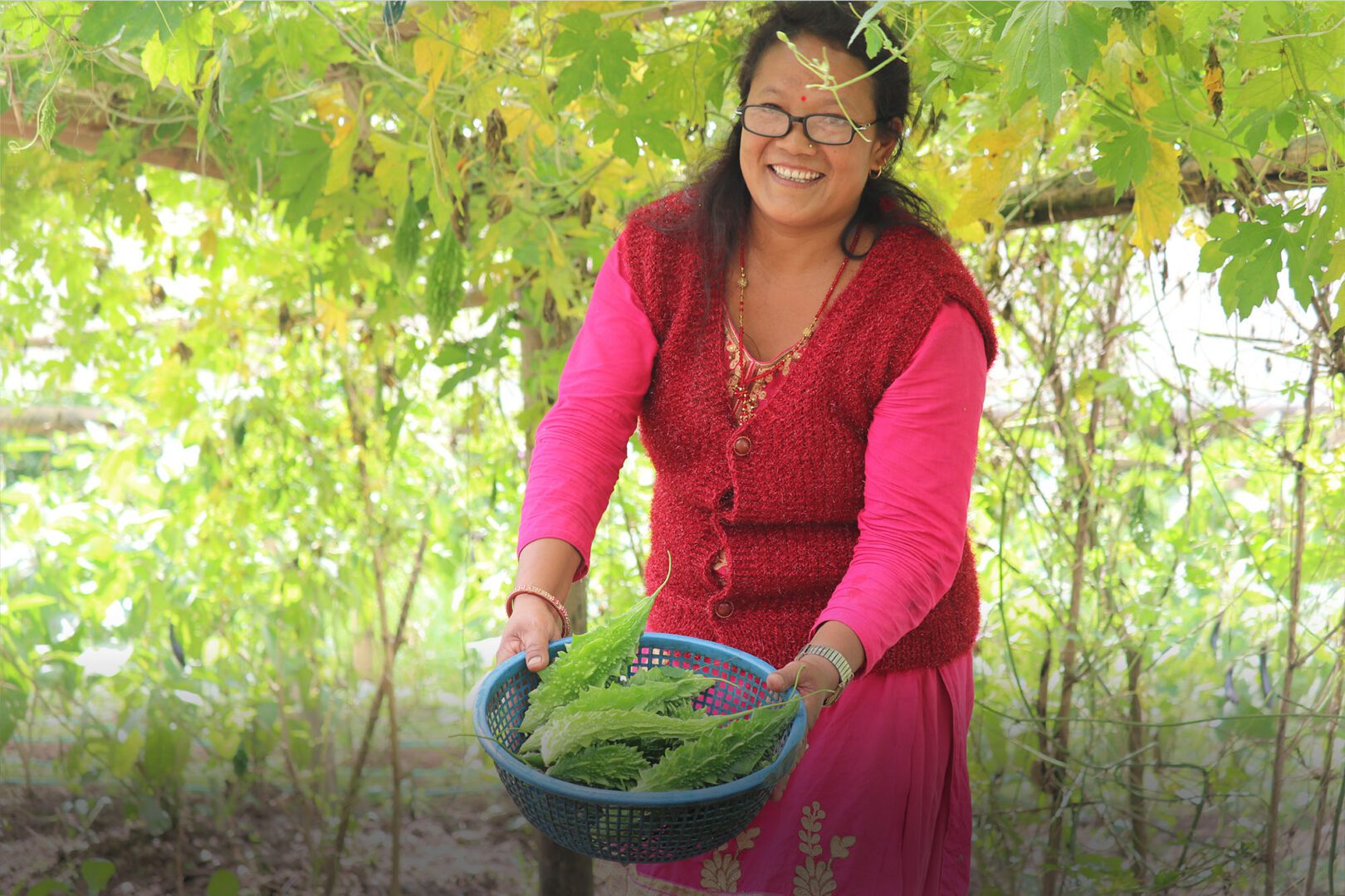 Village farmer in Nepal shows her harvest.
