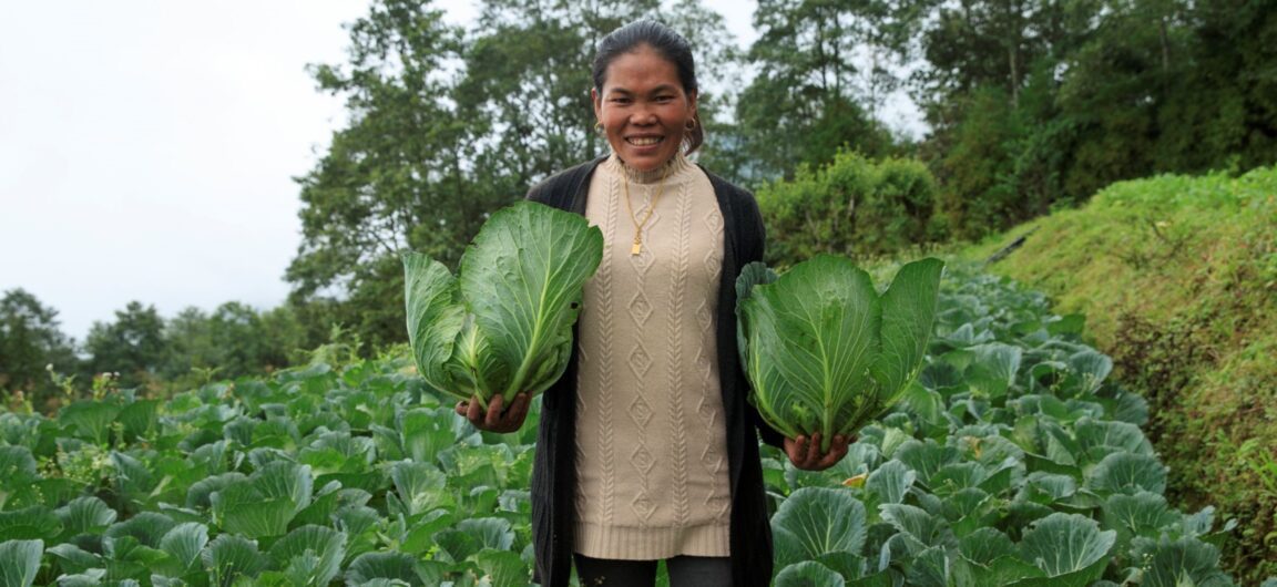 A Nepalese woman stands in a field holding a large cabbage in each hand.
