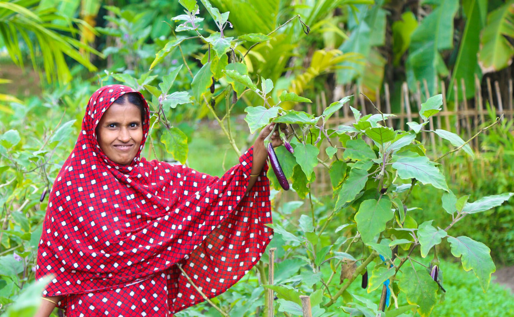 A woman in a red sari stands in a garden, proudly showing an eggplant.