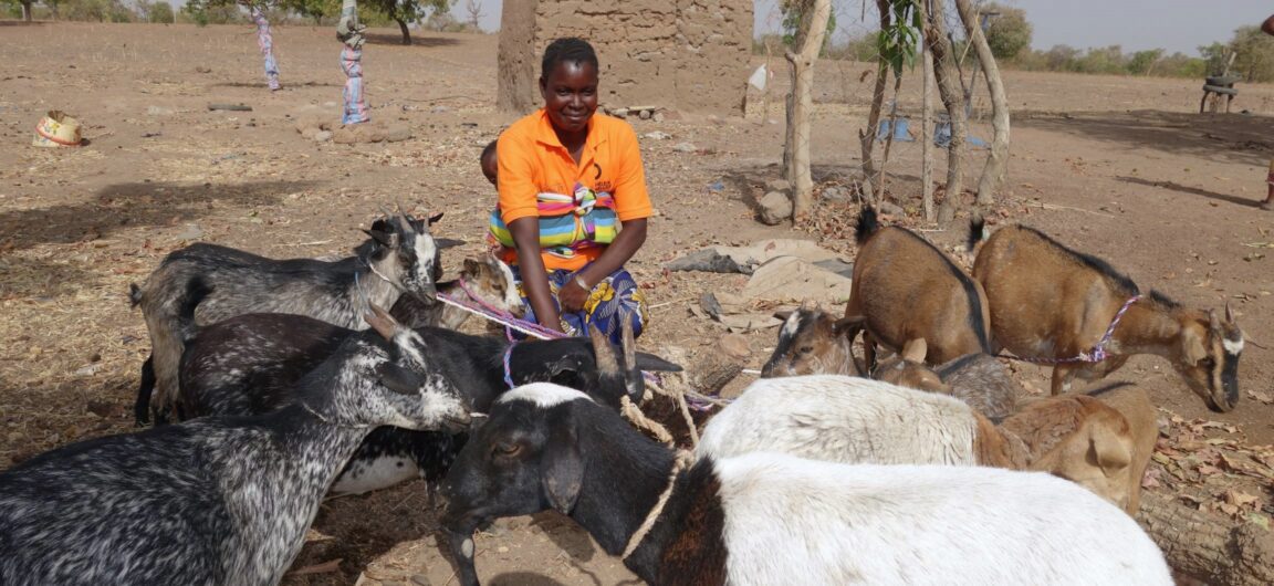 A Burkinabe woman kneels while tending to six goats.