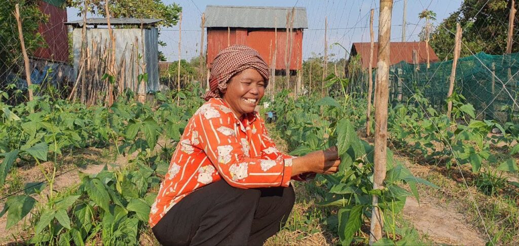 Smiling woman crouches among green plants in a backyard garden, picking fresh vegetables on a sunny day.