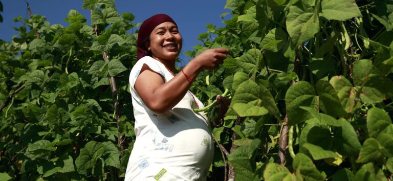 A pregnant Nepali woman tends to large, leafy, green plants.