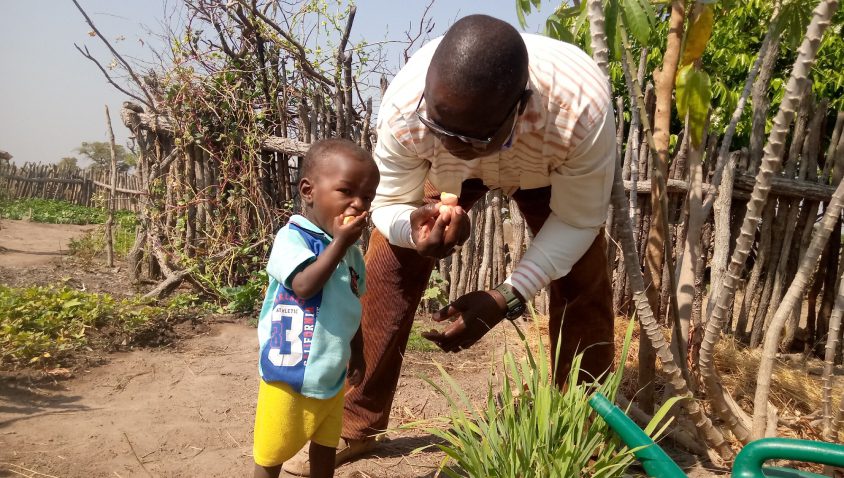 Father and son exploring plants in garden