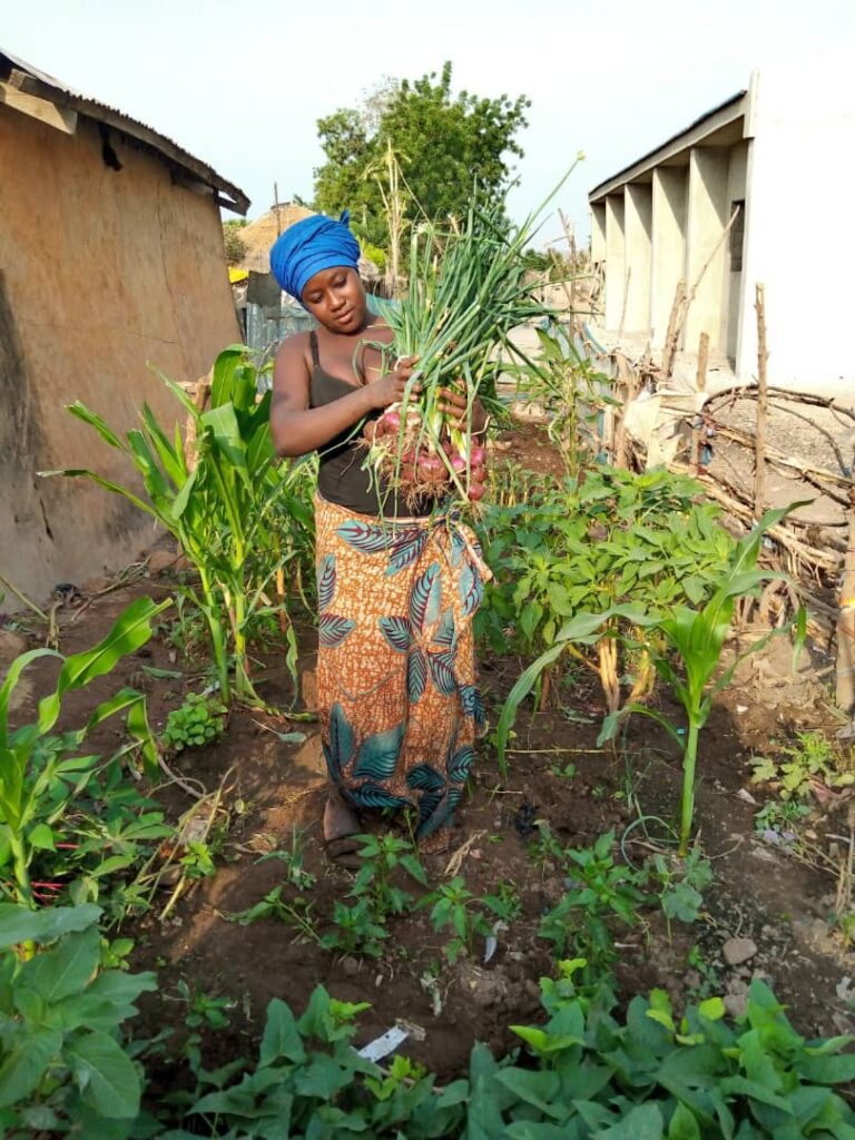 Girl holding freshly harvested onions in garden.