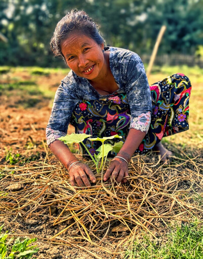 Woman planting seedlings in a garden setting