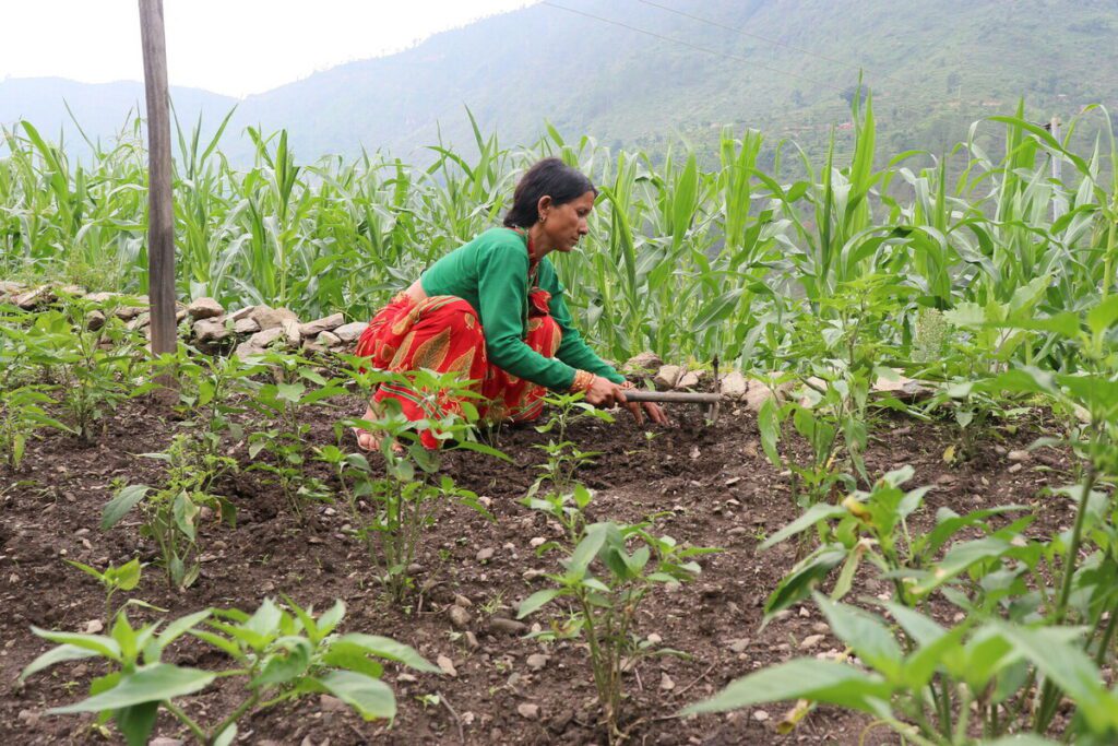 A woman in Nepal works in her garden.