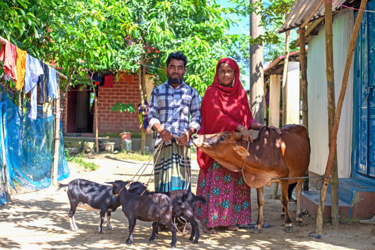 Couple with cow and goats outside house