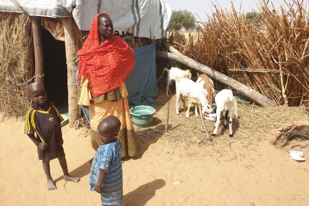 Woman and children near hut with goats feeding