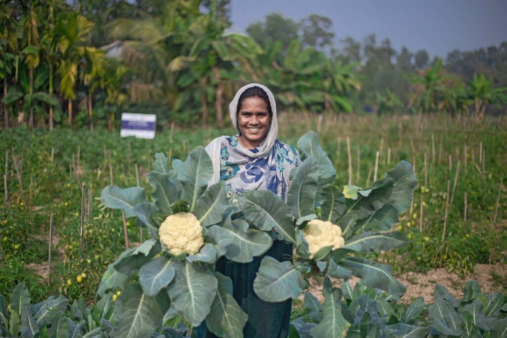 Woman holding cauliflower in green farm
