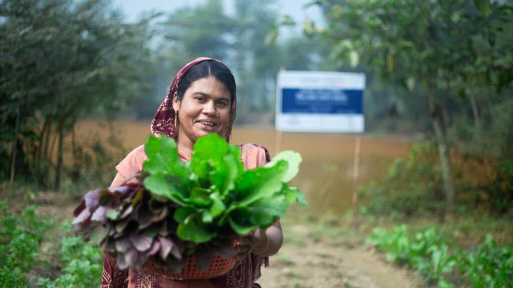 Women standing in a crop bed holding lettuce she harvested