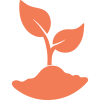 Green plant sprouting from brown soil